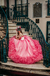 RESERVED for Little Dreamers INSIDERS: Traveling Rental Dress: The "Pink Flamingo" Gown: Size 14: Fits Youth 10-Petite 16