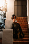 RESERVED for Little Dreamers INSIDERS: Traveling Rental Dress: The Ravena Gown: Size 14, fits youth 10-petite 16