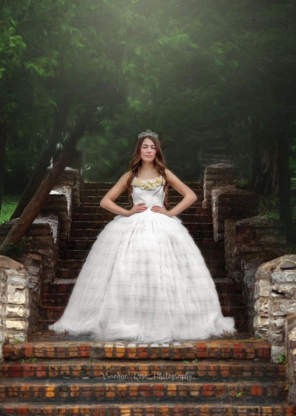 RESERVED for Little Dreamers INSIDERS: Traveling Rental Dress: The "Charlie" Gown: Size 12, Fits Sizes 8-Petite 16