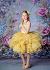 RESERVED for Little Dreamers INSIDERS: Traveling Rental Dress: The Lemon Drop Midi Length: Size 6, fits sizes 4-10