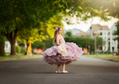 6th Annual Clearance Sale: RETIRED RENTAL: The "Briar" Gown: Size 6 Tea Length: Fits 4-8, fits