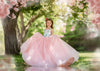 RESERVED for Little Dreamers INSIDERS: Traveling Rental Dress: The Watermelon Sugar, A CONVERTIBLE Gown: Size 6, fits 4-8