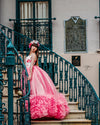 RESERVED for Little Dreamers INSIDERS: Traveling Rental Dress: The "Pink Flamingo" Gown: Size 14: Fits Youth 10-Petite 16