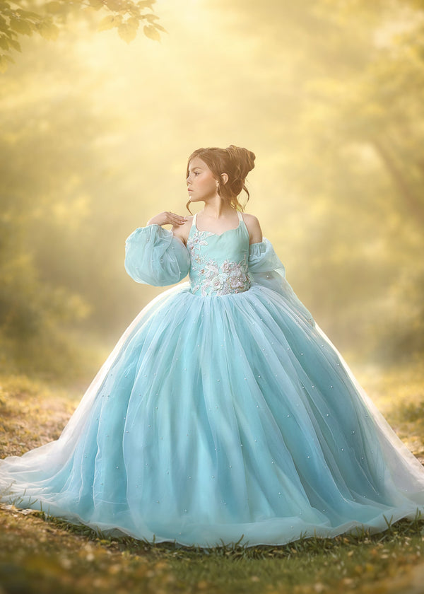 princess dress rental Lavender Princess Ball Gown for Rent
