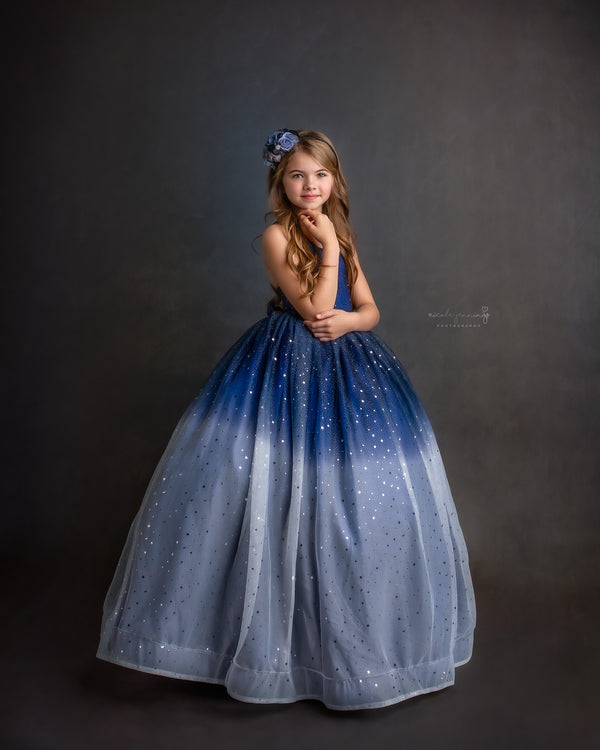 RETIRED RENTAL CLEARANCE SALE: The "Starry Night" Gown: size 7, fits 5-9 +