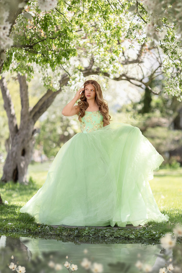 Traveling Rental Dress: The "Mila" Gown: size 16, fits youth 10-Adult XL