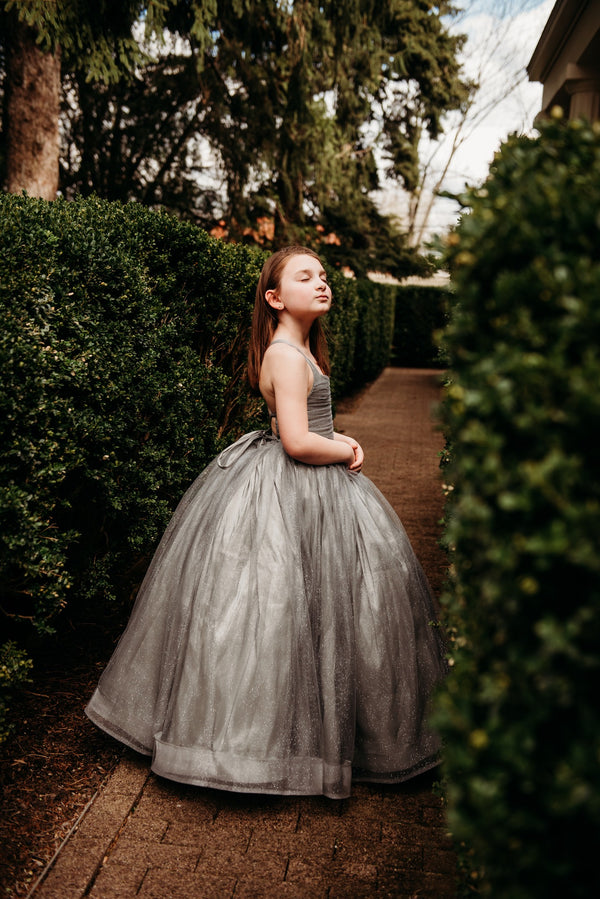 RETIRED RENTAL CLEARANCE SALE: The 'Silver Glitzy" Gown: Size 6, fits 4-8 +