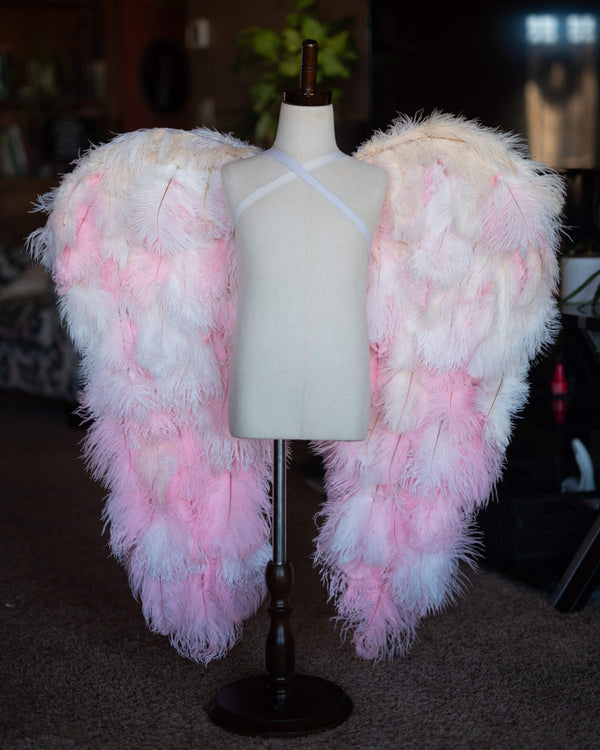 Add a Custom Headband AND/OR Wings to my Order!!