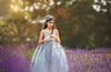 6th Annual Clearance Sale: RETIRED RENTAL: The Asher Gown in GREY WITH a Tutu SEWN IN: Size 12, fits 8-14 +