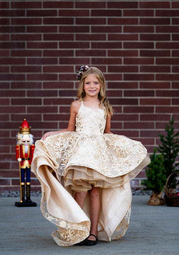 Traveling Rental Dress: The Skyler Gown: Size 7, fits 4-9