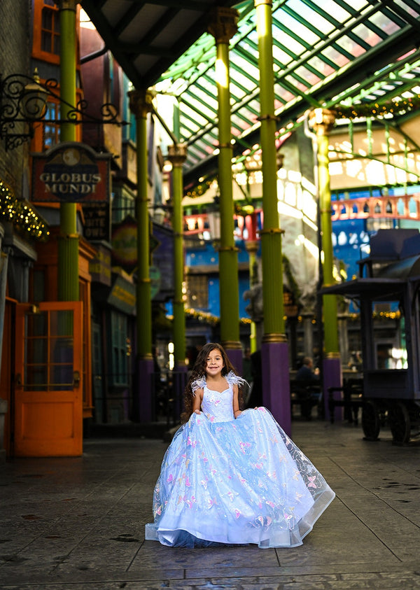 Traveling Rental Dress: The "Blue Butterflies" Gown: Size 6, fits sizes 4-8