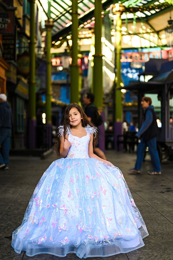 RETIRED RENTAL CLEARANCE SALE: The "Blue Butterflies" Gown: Size 6, fits sizes 4-8