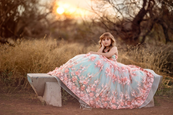 Traveling Rental Dress: The Chloe Gown: Size 8, fits 6-10