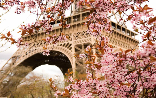 Paris Shootout/Retreat: March 28th/29th