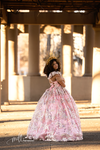 RESERVED for Little Dreamers INSIDERS: Traveling Rental Dress: Liberty Gown: Size 12, fits sizes 8-petite 16
