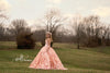 RESERVED for Little Dreamers INSIDERS: Traveling Rental Dress: The "Samantha" Gown: Size 12, Fits Sizes 8-Petite 16