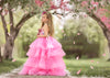 RESERVED for Little Dreamers INSIDERS: Traveling Rental Dress: The "PRIMROSE" Gown: Size 8, fits 6-10 +