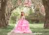 RESERVED for Little Dreamers INSIDERS: Traveling Rental Dress: The "PRIMROSE" Gown: Size 8, fits 6-10 +