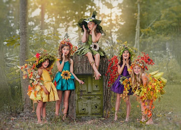 PRE-ORDER: The Fairy Dress: Choose your color! 14 PRE-ORDER: The Fairy Dress: Choose your color! 14