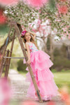 RESERVED for Little Dreamers INSIDERS: Traveling Rental Dress: The "PRIMROSE" Gown: Size 8, fits 6-10 +
